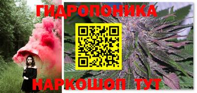 крисы Пенза