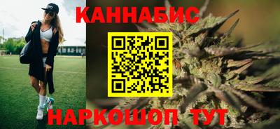 крисы Пенза
