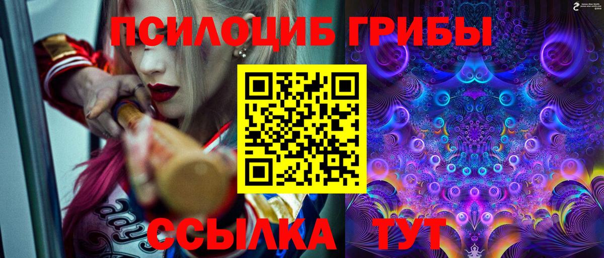 Стрежевой  Галлюциногенные грибы мухоморы  Галлюциногенные грибы прущие грибы  цена   Вход с VPN 